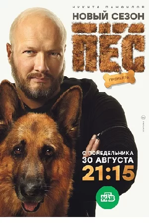 Пёс 6 сезон